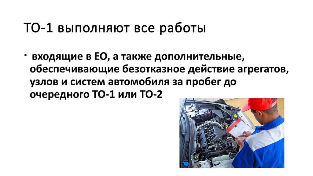 Виды и периодичность технического обслуживания транспортных средств