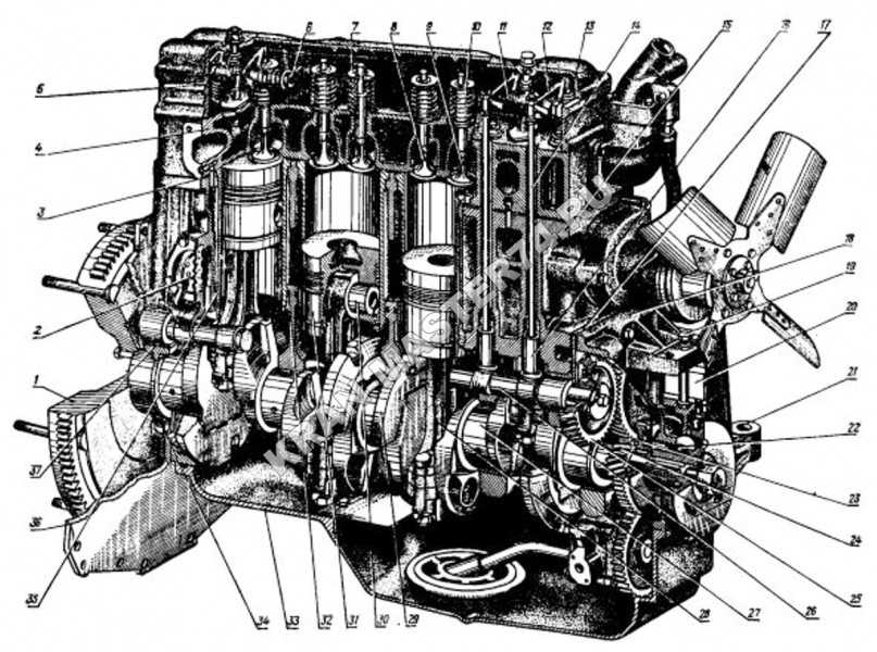 Обороты двигателя мтз. Мотор трактора МТЗ 240 схема. Двигатель МТЗ Д 240. Схема двигателя МТЗ 82. Схема двигателя д 240 МТЗ.