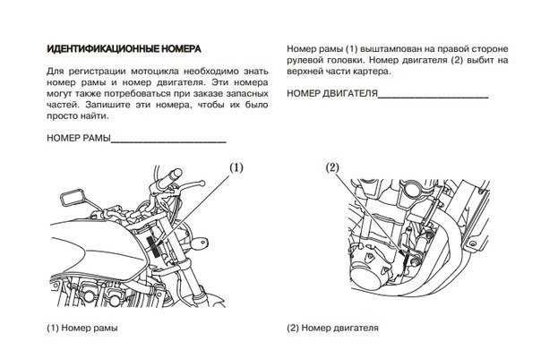 Расшифровка маркировки двигателя китайских мопедов
