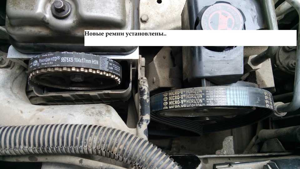 Пежо 206 замена ремня генератора. замена ремня грм пежо 206 1.4