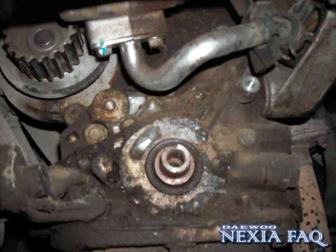 Замена клапанной прокладки daewoo nexia 8 и 16 клапанов — авторемонт, замена своими силами