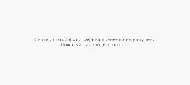 Правильная проверка уровня антифриза: на горячую или холодную машину?