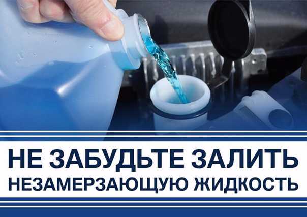 15 лучших незамерзаек